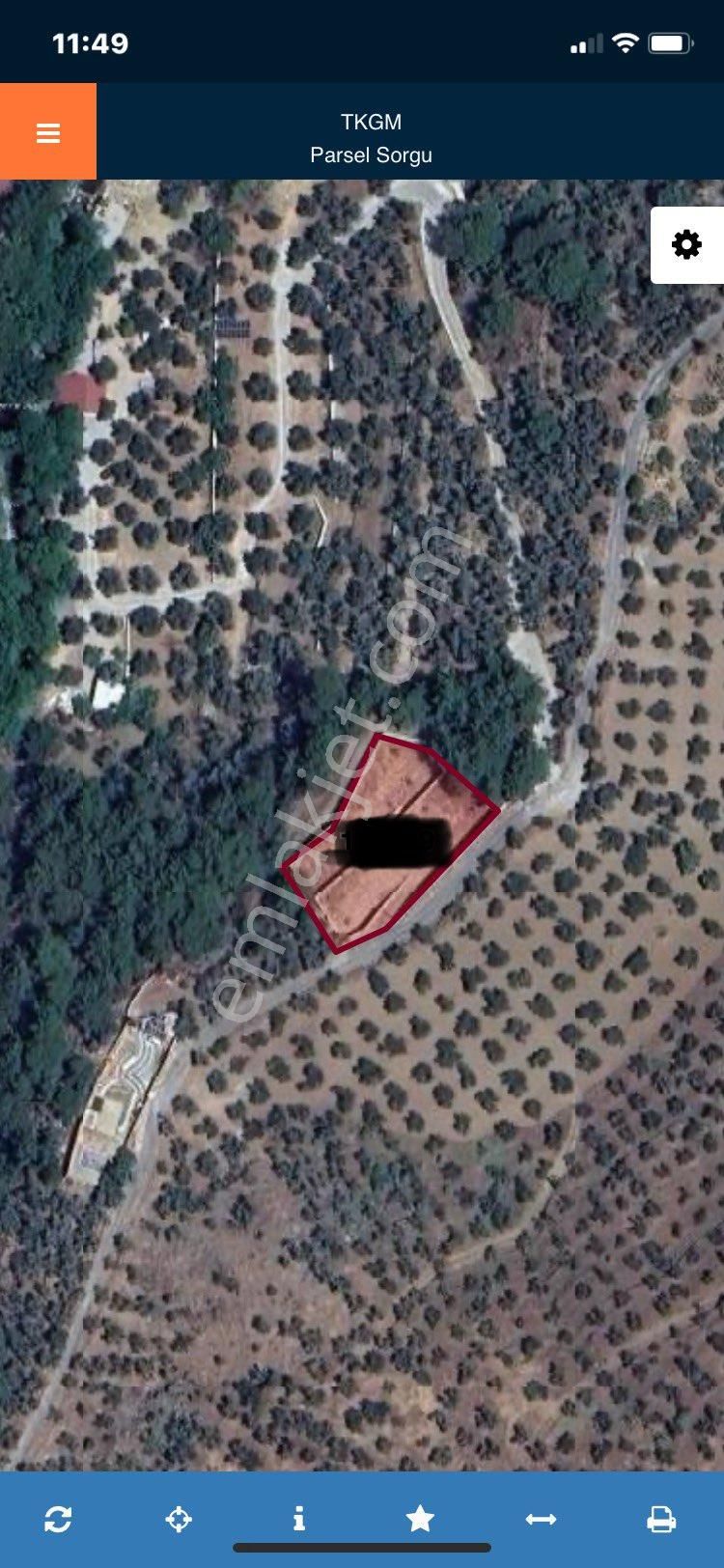 Olcaysu'dan Yatırımcılar İçin 1329m2 Fırsat Zeytinlik! - Görsel 2