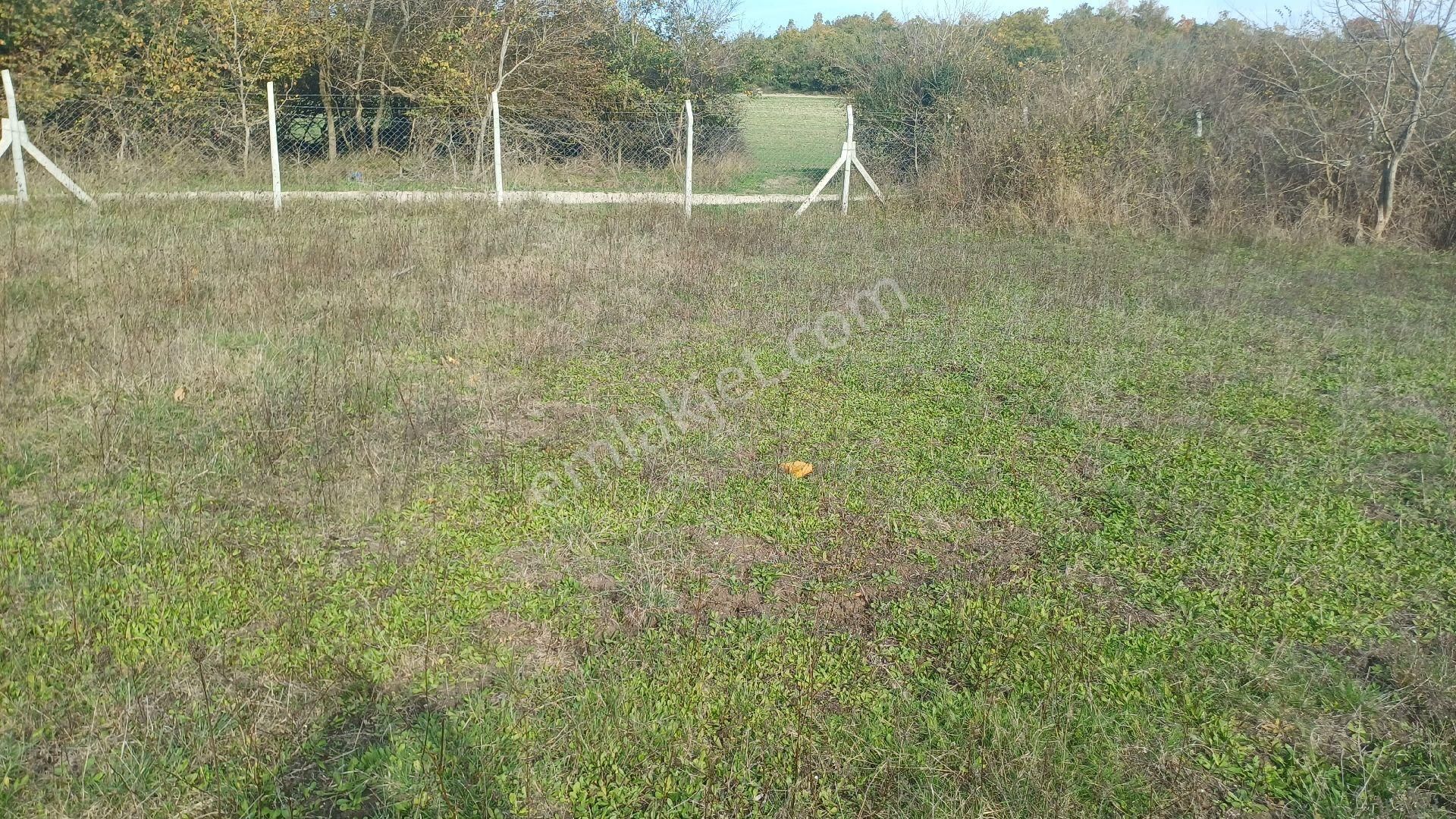 Çatalca, Dağyenice Muafakatnameli Kooperatif Hissesi - Görsel 4
