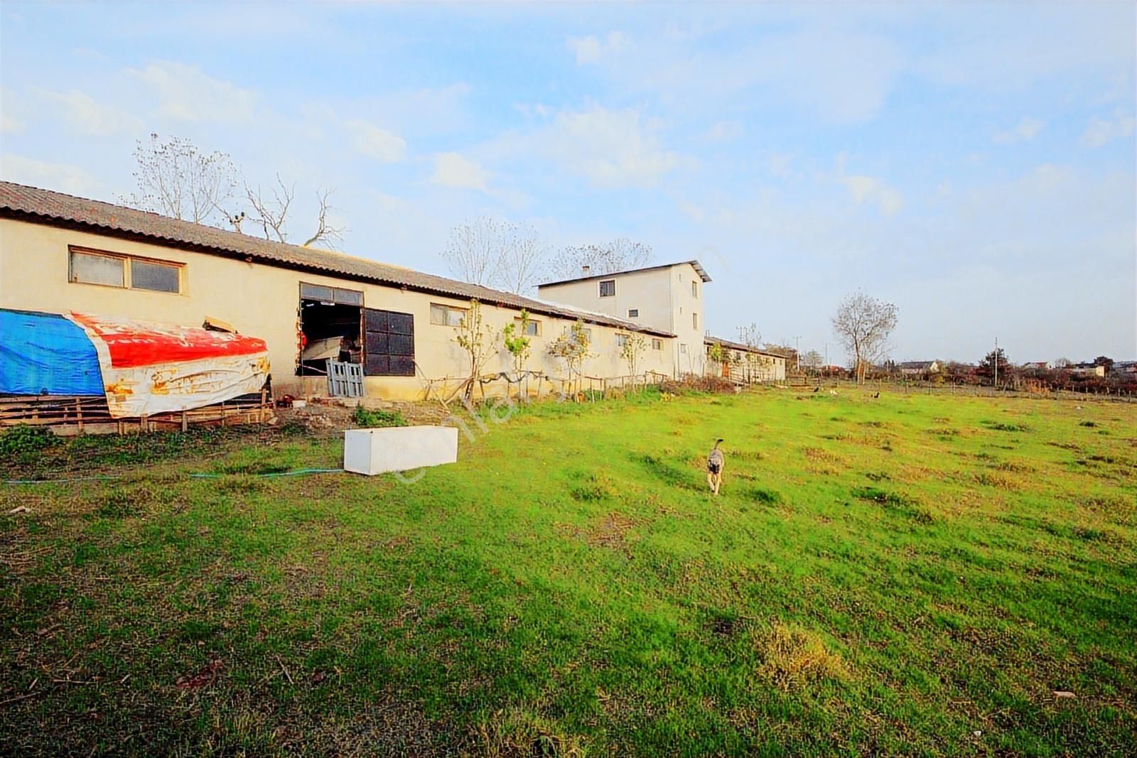 Kiralık 10.000m2 Tarla İçerisinde 1.000m2 Depo Ana Cadde Üzerind - Görsel 6