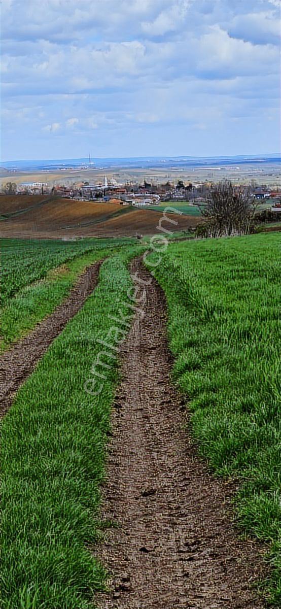 Acil Satılık Merkeze 5 Dk
