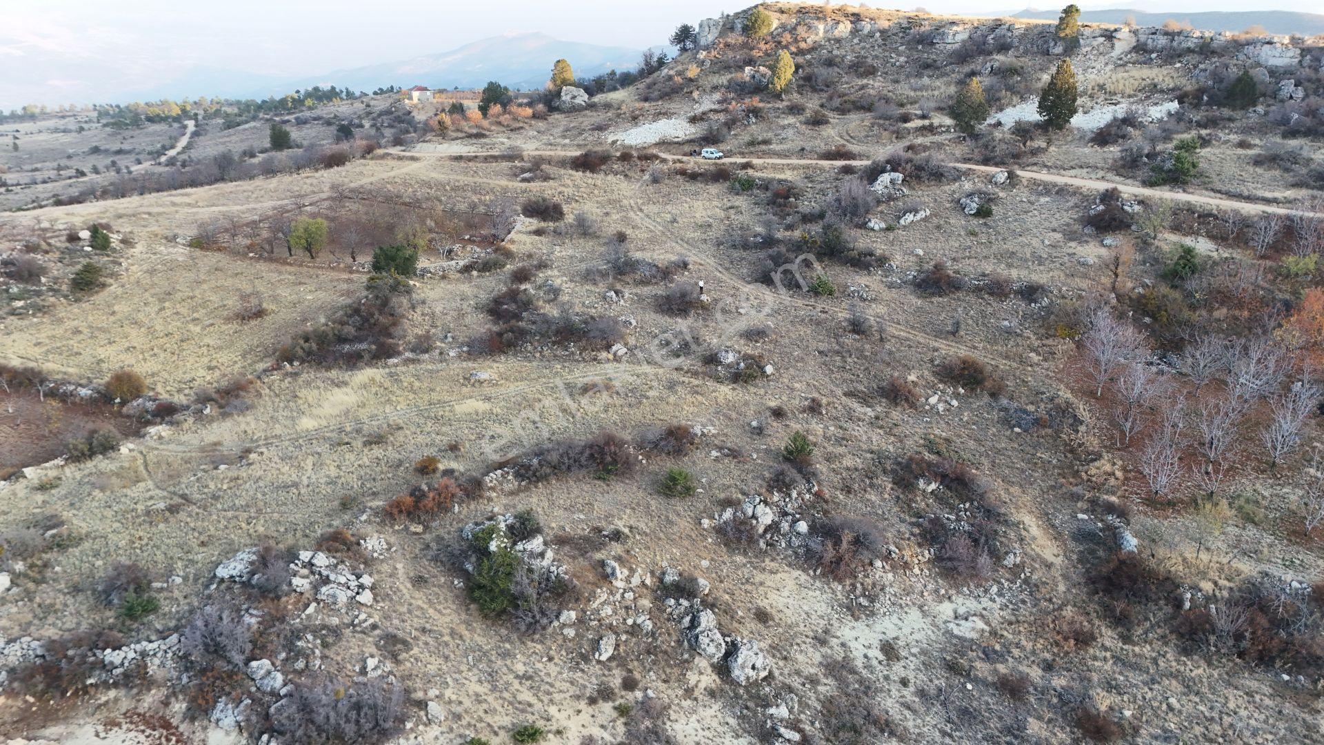 Karaman / Ermenek / Elmayurdu Mahallesinde 1.962 M² Müstakil Tapulu Tarla - Görsel 4