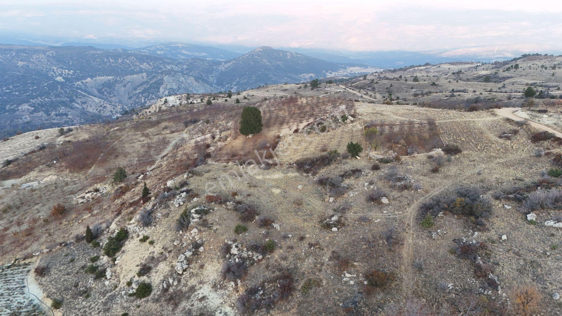 Karaman / Ermenek / Elmayurdu Mahallesinde 1.962 M² Müstakil Tapulu Tarla - Görsel 5