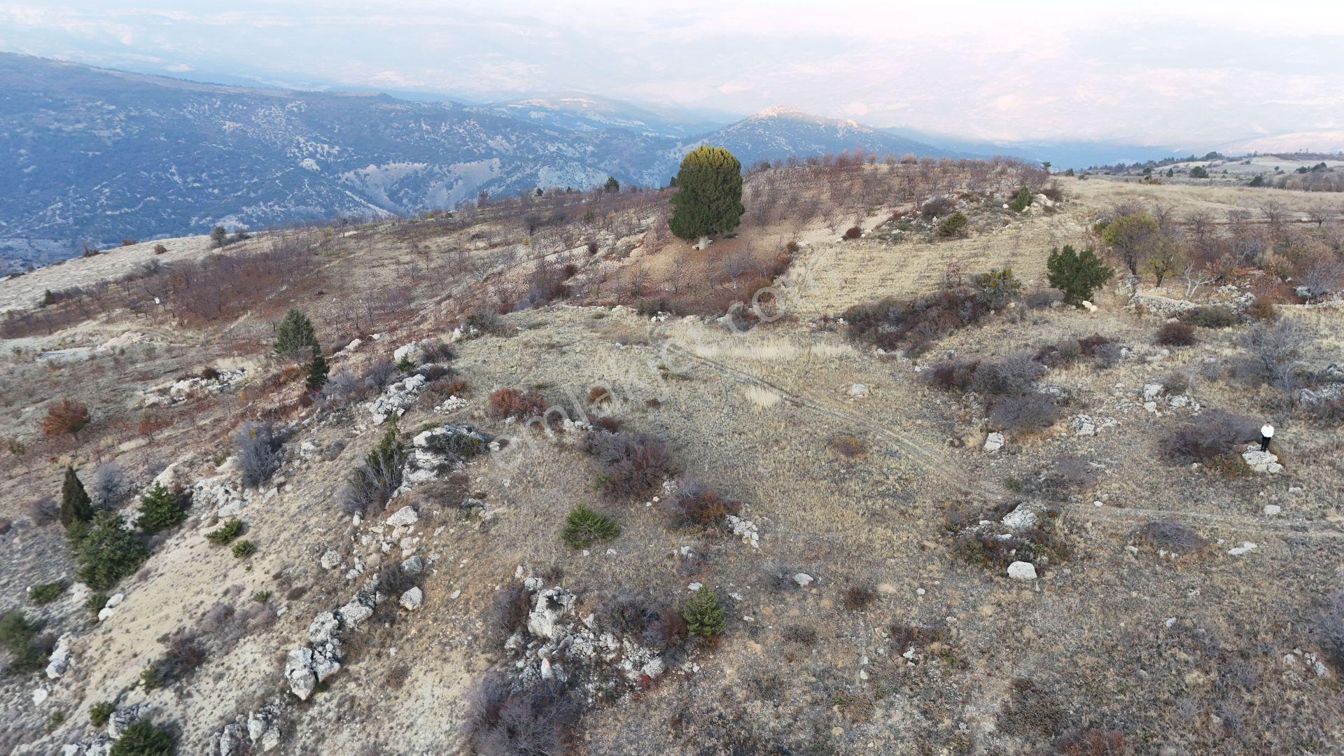Karaman / Ermenek / Elmayurdu Mahallesinde 1.962 M² Müstakil Tapulu Tarla - Görsel 3