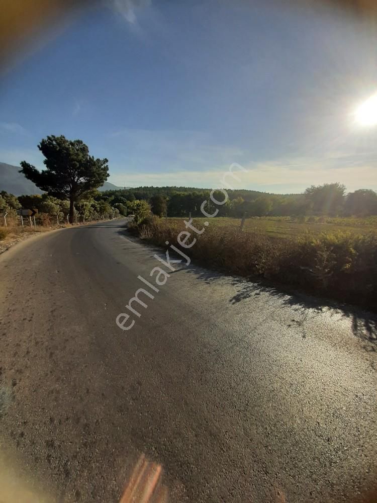 Kuşadası Çınar Köyü Satılık 3 Dönüm Üzüm Bağı - Görsel 8