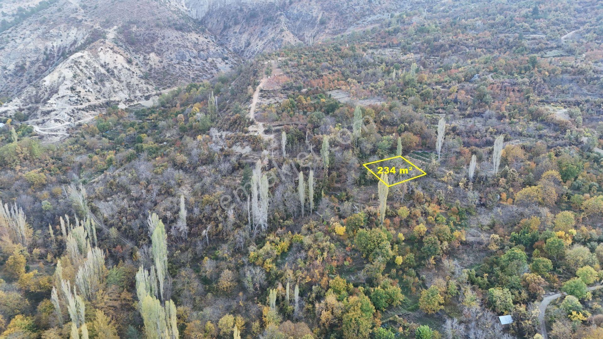 Karaman / Ermenek / Elmayurdu Mahallesinde 234 M² Müstakil Tapulu Bahçe - Görsel 8