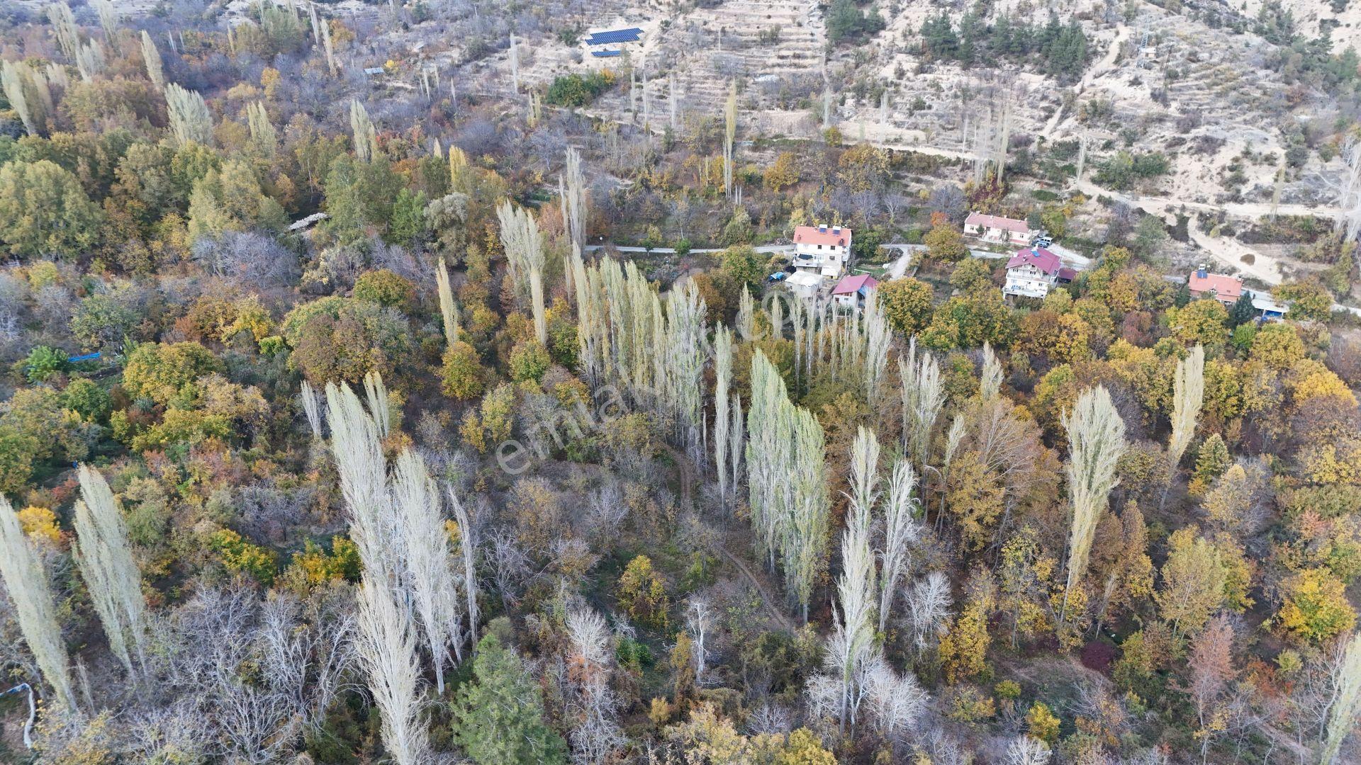 Karaman / Ermenek / Elmayurdu Mahallesinde 404 M² Müstakil Tapulu Bahçe - Görsel 6