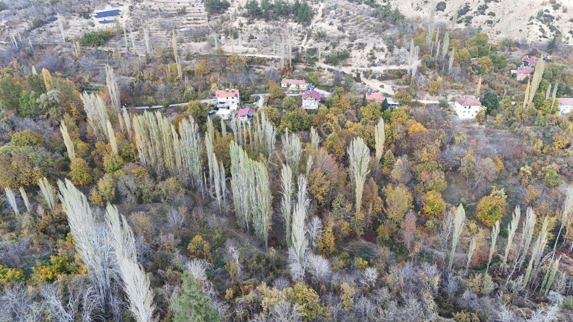 Karaman / Ermenek / Elmayurdu Mahallesinde 404 M² Müstakil Tapulu Bahçe - Görsel 3