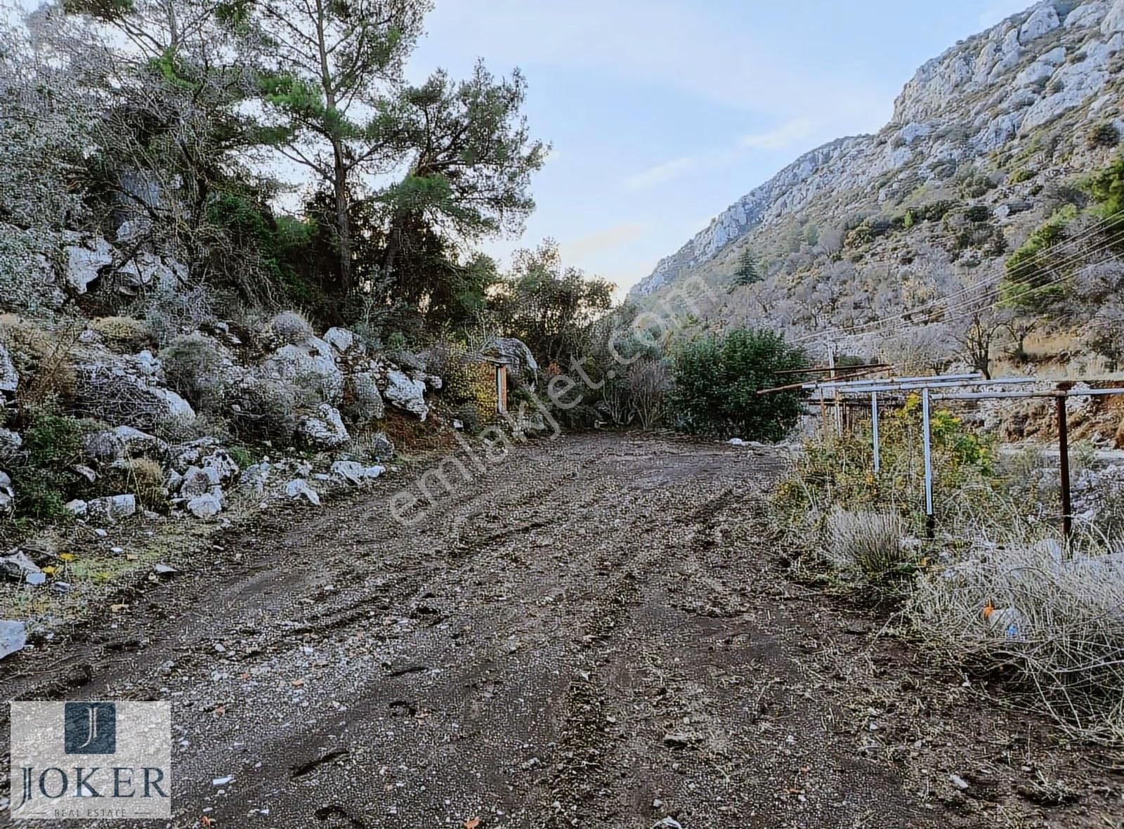 Joker: Söğüt'te Doğa İçinde Yol Üstünde Elektrik, Su Olan