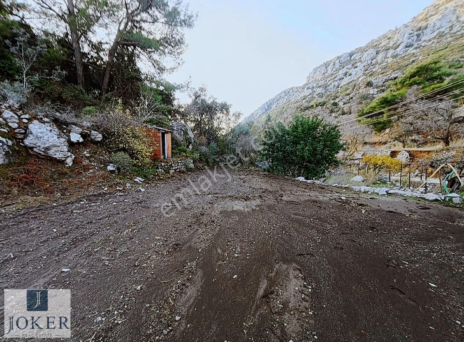 Joker: Söğüt'te Doğa İçinde Yol Üstünde Elektrik, Su Olan - Görsel 13