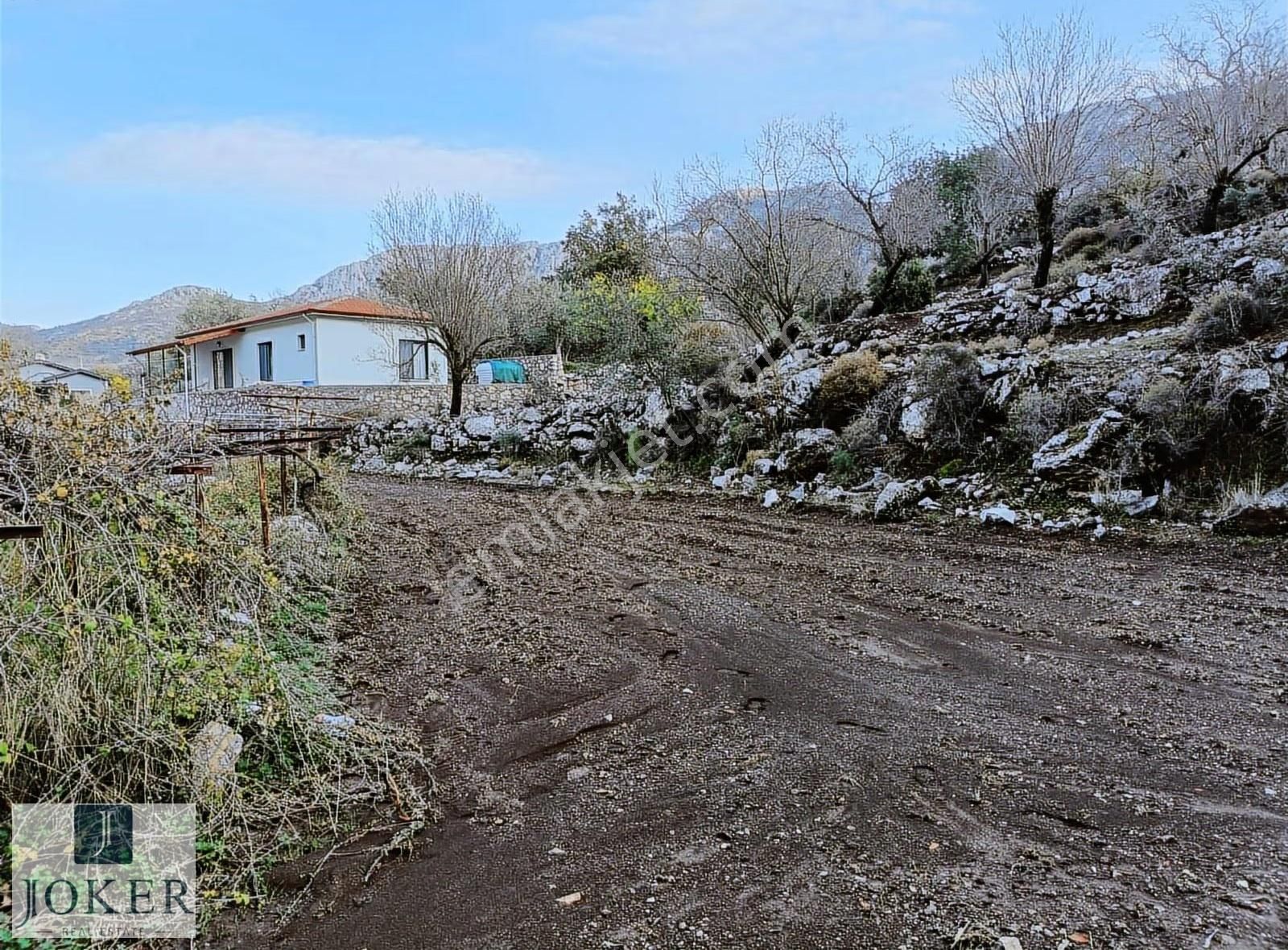 Joker: Söğüt'te Doğa İçinde Yol Üstünde Elektrik, Su Olan - Görsel 3