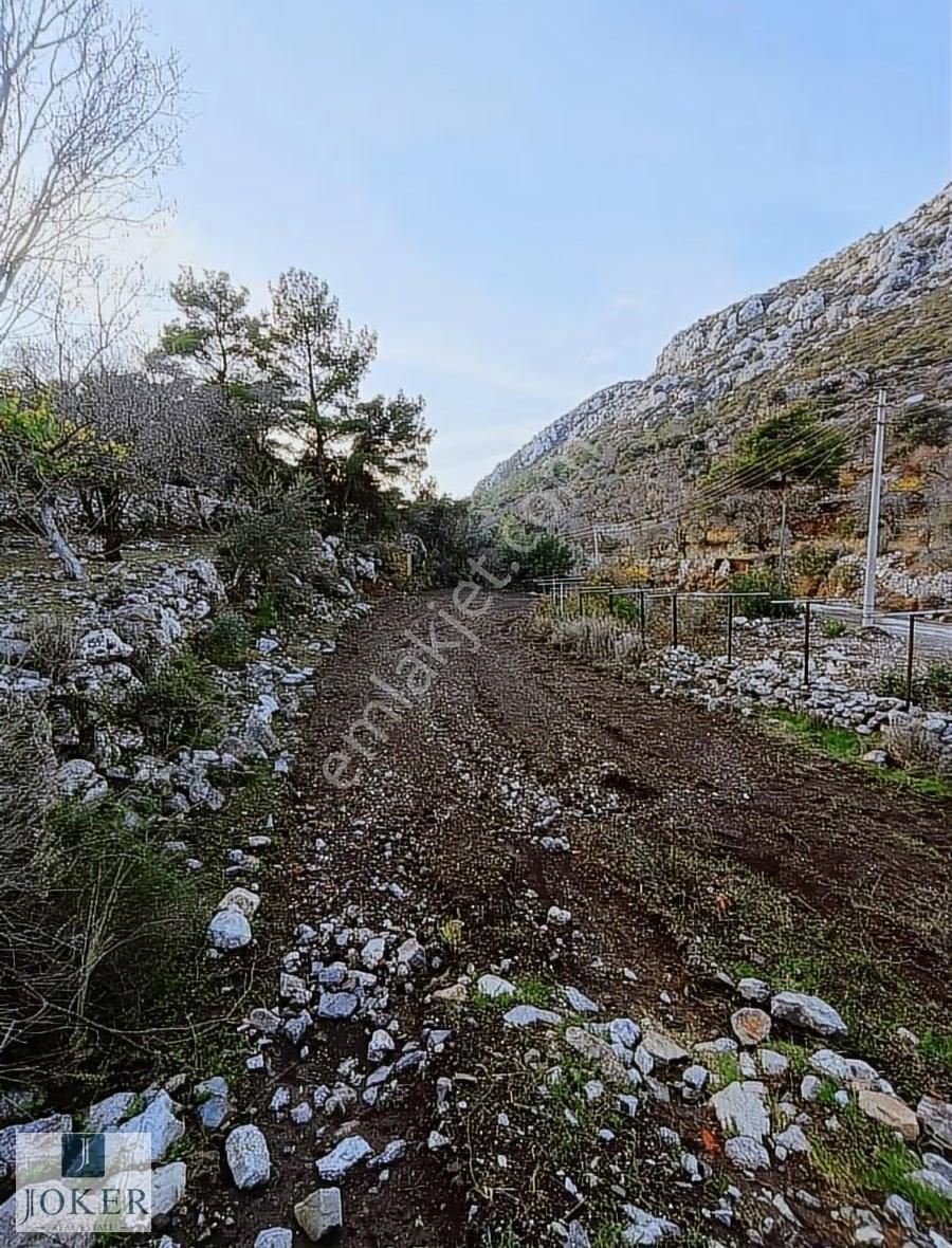Joker: Söğüt'te Doğa İçinde Yol Üstünde Elektrik, Su Olan - Görsel 4