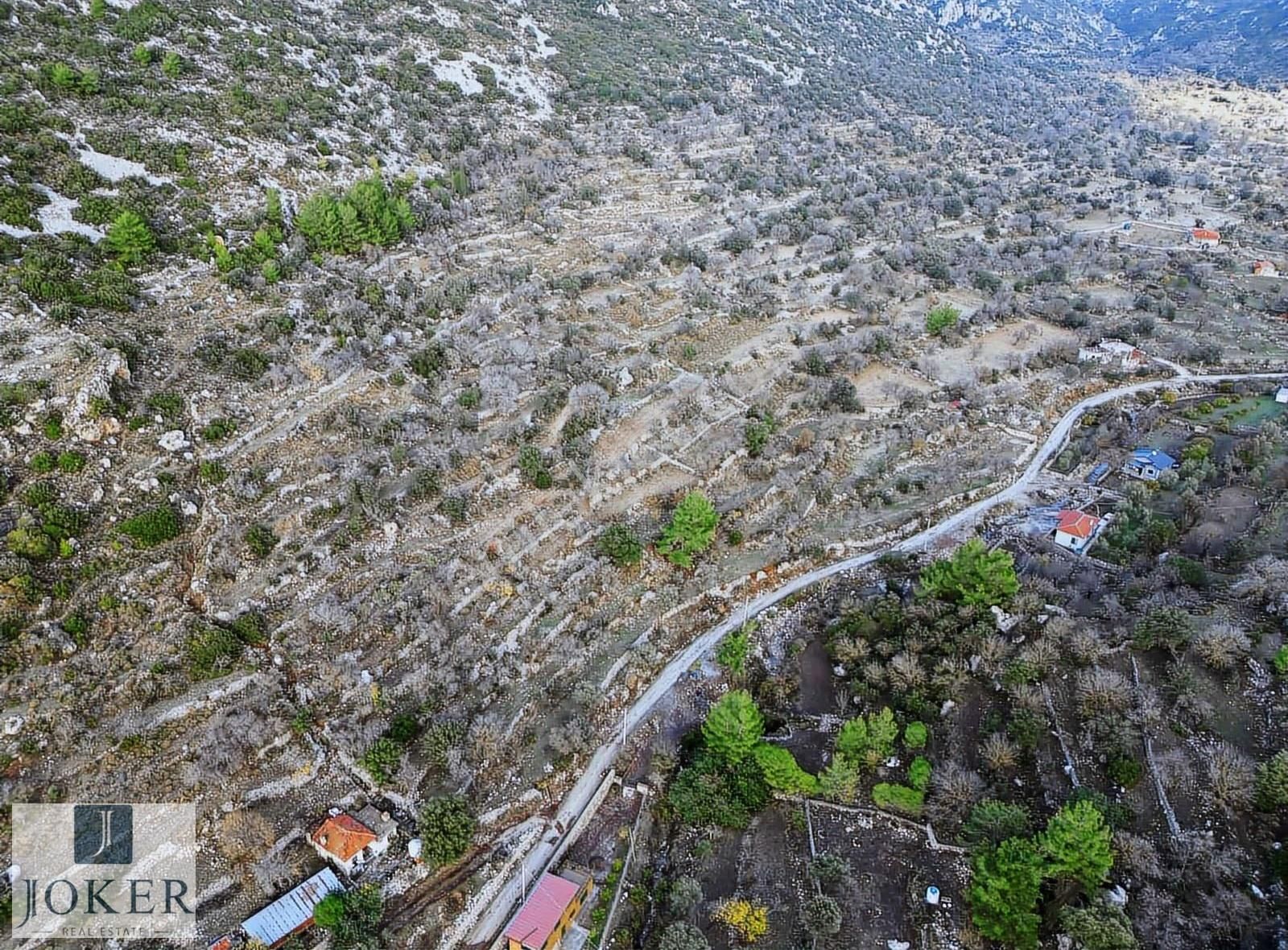 Joker: Söğüt'te Doğa İçinde Yol Üstünde Elektrik, Su Olan - Görsel 11