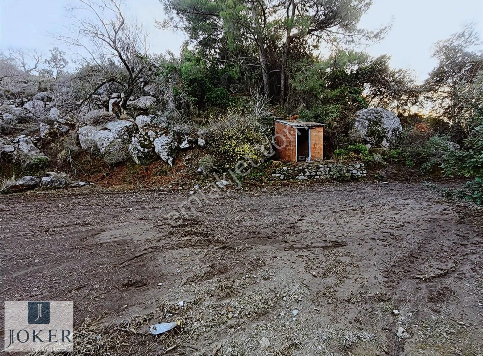 Joker: Söğüt'te Doğa İçinde Yol Üstünde Elektrik, Su Olan - Görsel 2