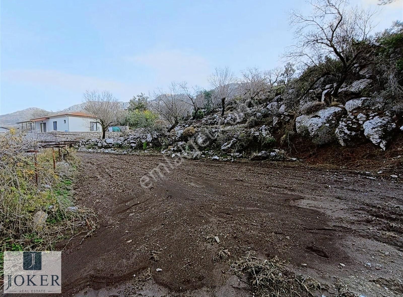 Joker: Söğüt'te Doğa İçinde Yol Üstünde Elektrik, Su Olan - Görsel 10