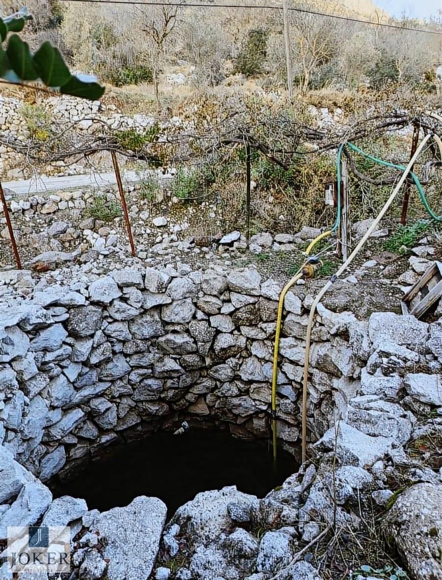 Joker: Söğüt'te Doğa İçinde Yol Üstünde Elektrik, Su Olan - Görsel 15