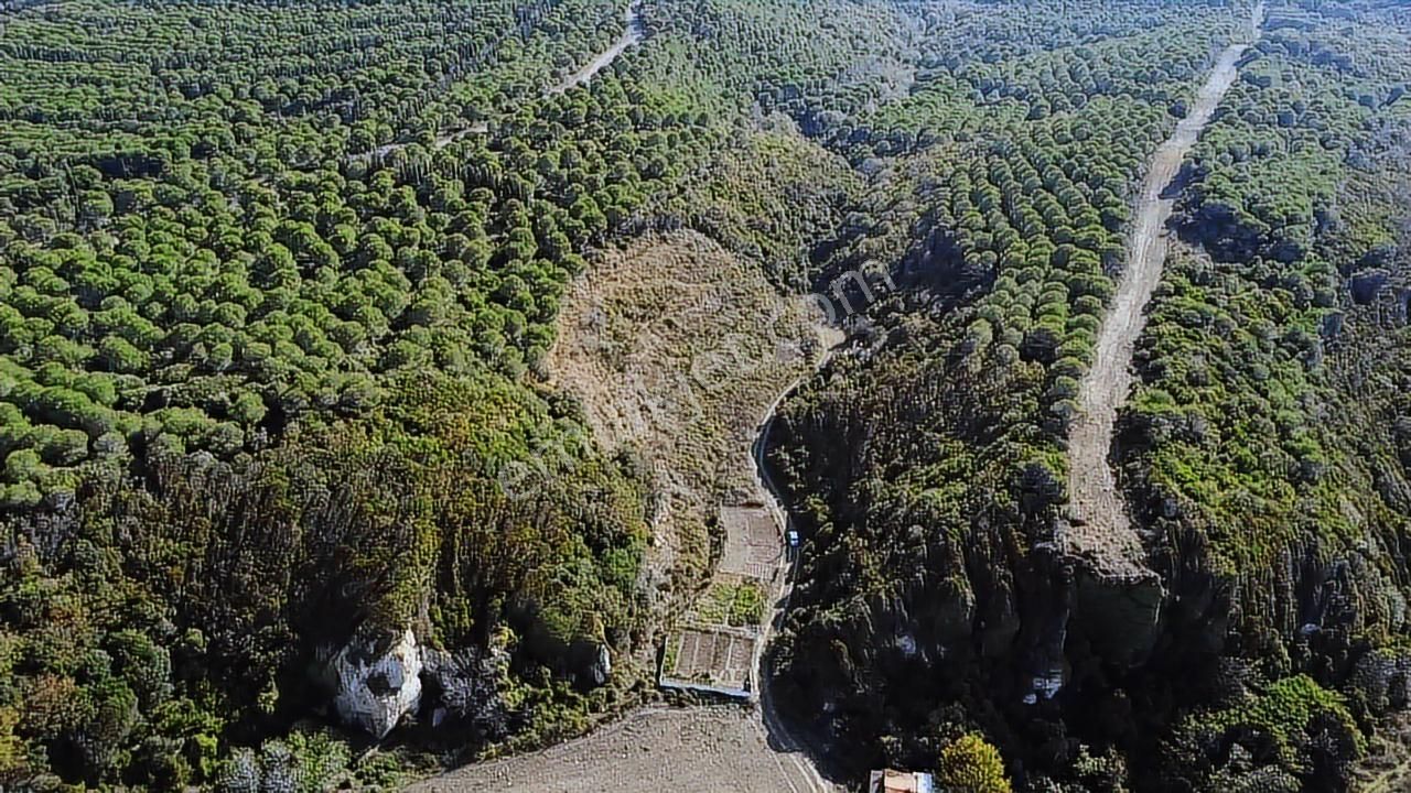 Tırpan Gayrimenkulden Eğerce Sahilde 1.500m2 Fırsat Arazi - Görsel 11