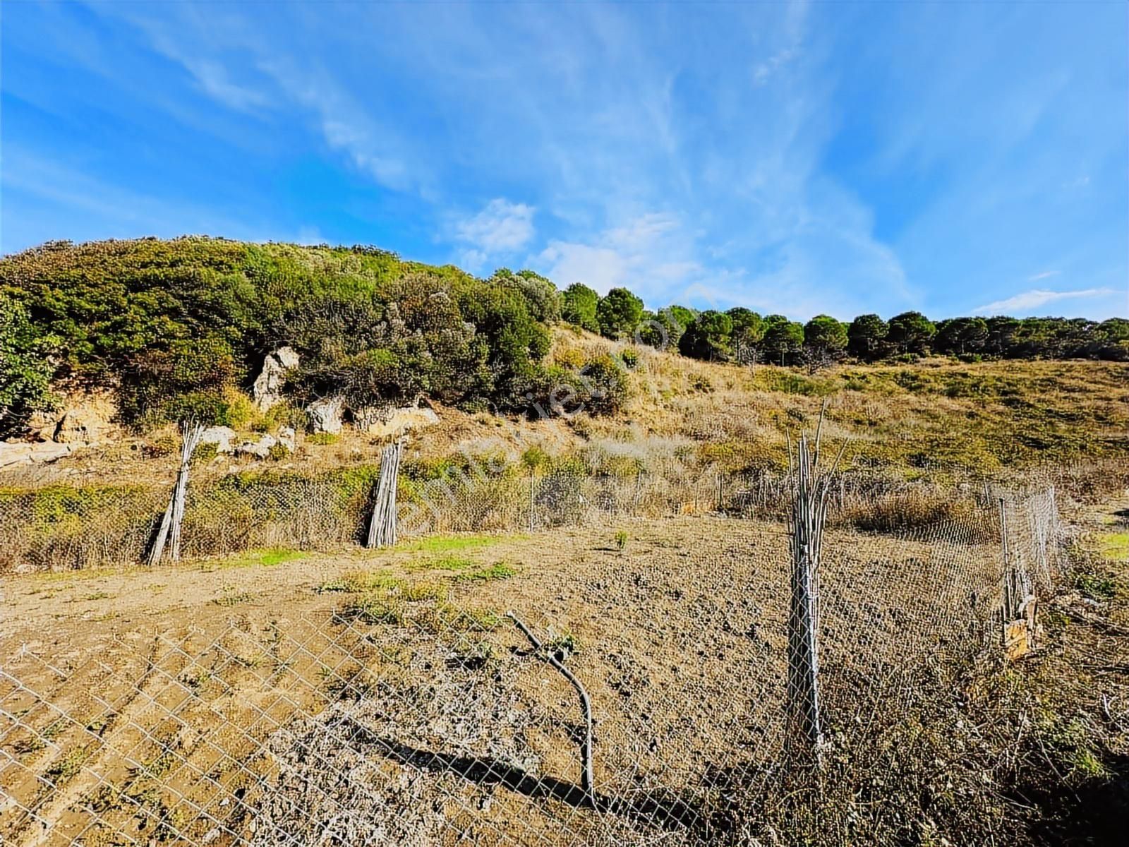 Tırpan Gayrimenkulden Eğerce Sahilde 1.500m2 Fırsat Arazi - Görsel 10