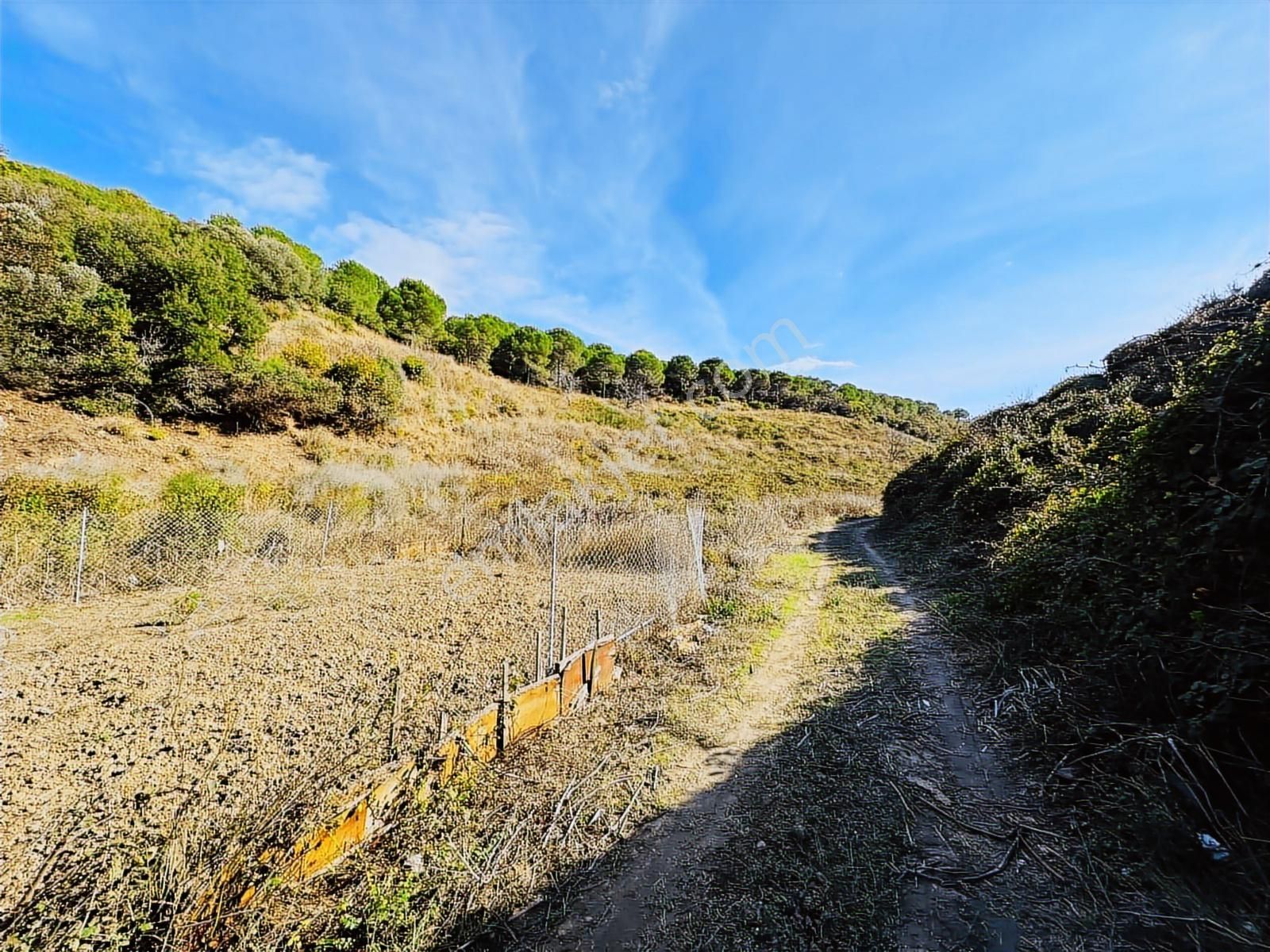 Tırpan Gayrimenkulden Eğerce Sahilde 1.500m2 Fırsat Arazi - Görsel 7