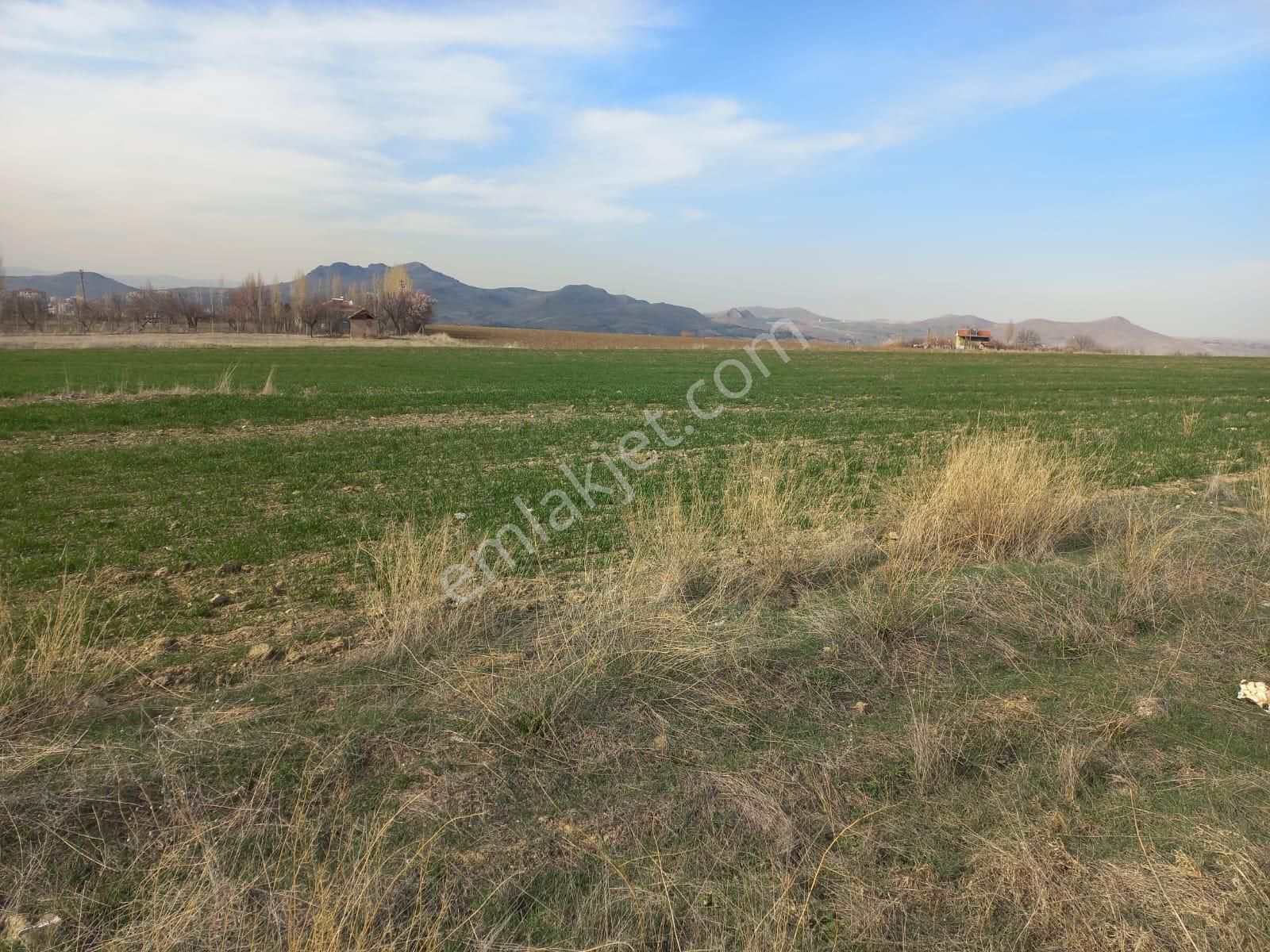 Hilal Emlak'dan Kusunlar Mah. Konut İmarlı 150 M2 Satılık Arsa