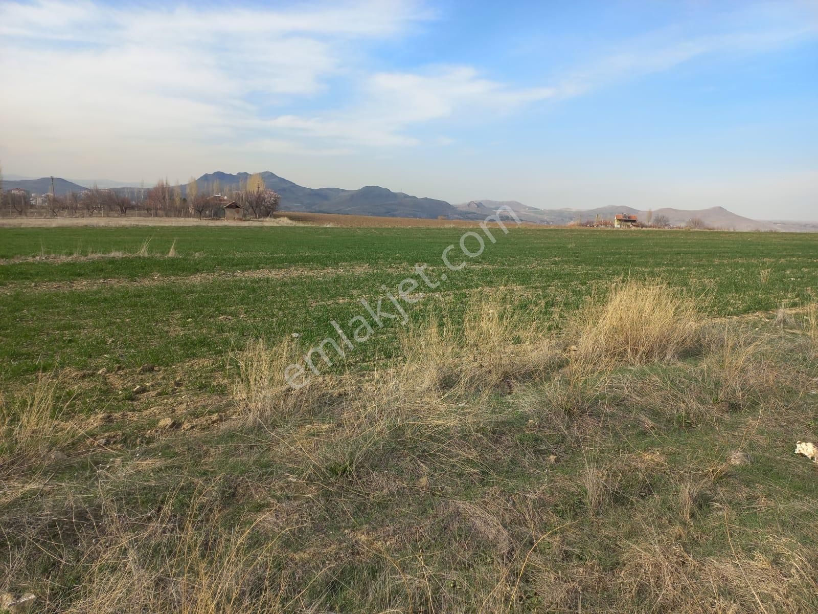 Hilal Emlak'dan Kusunlar Mah. Konut İmarlı 150 M2 Satılık Arsa - Görsel 4