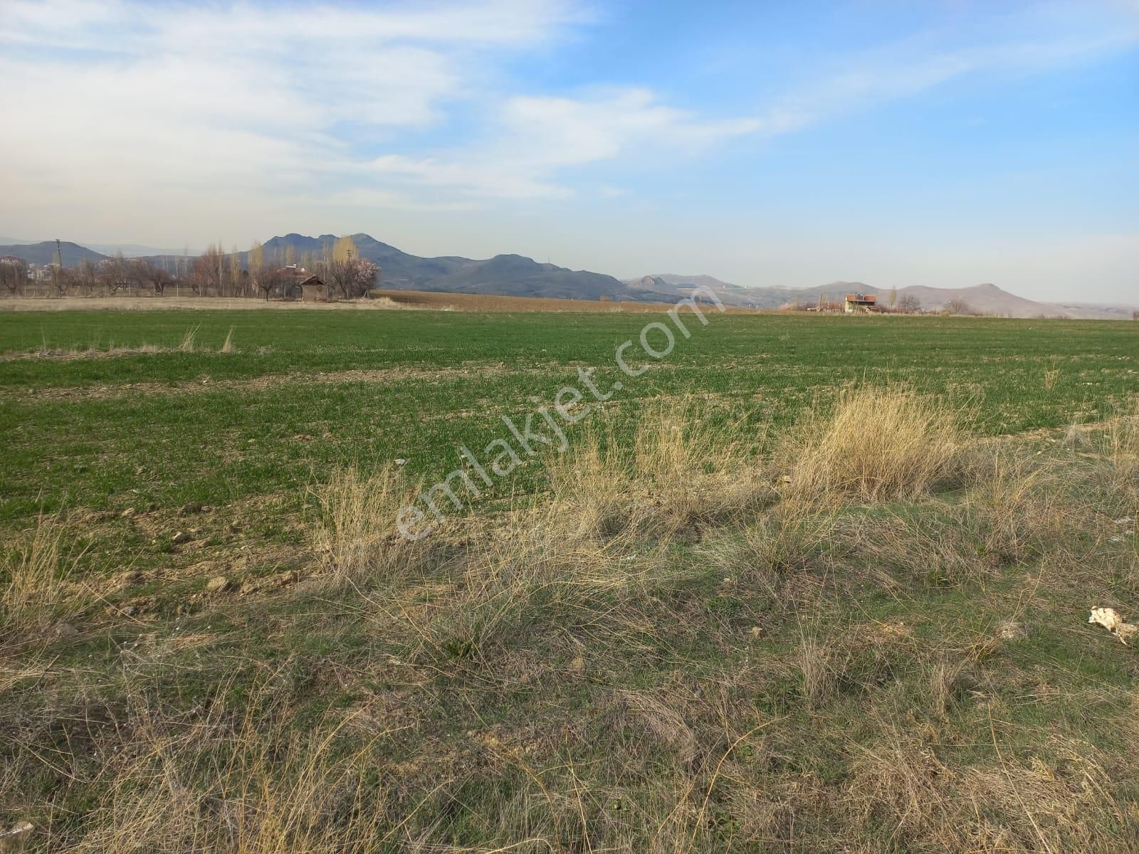 Hilal Emlak'dan Kusunlar Mah. Konut İmarlı 150 M2 Satılık Arsa - Görsel 3