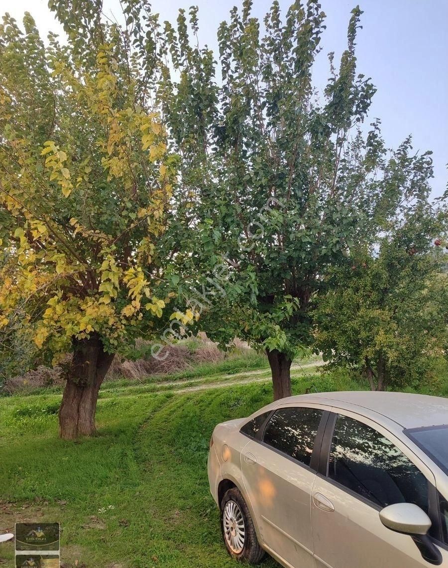 Kemalpaşa Armutlu Ovasında Ankara Yoluna Yakın Acil Satılık Bahçe - Görsel 10