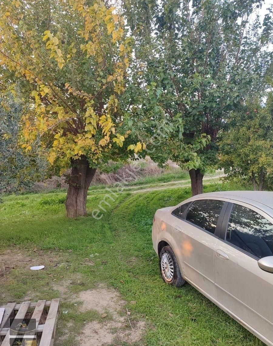 Kemalpaşa Armutlu Ovasında Ankara Yoluna Yakın Acil Satılık Bahçe - Görsel 3