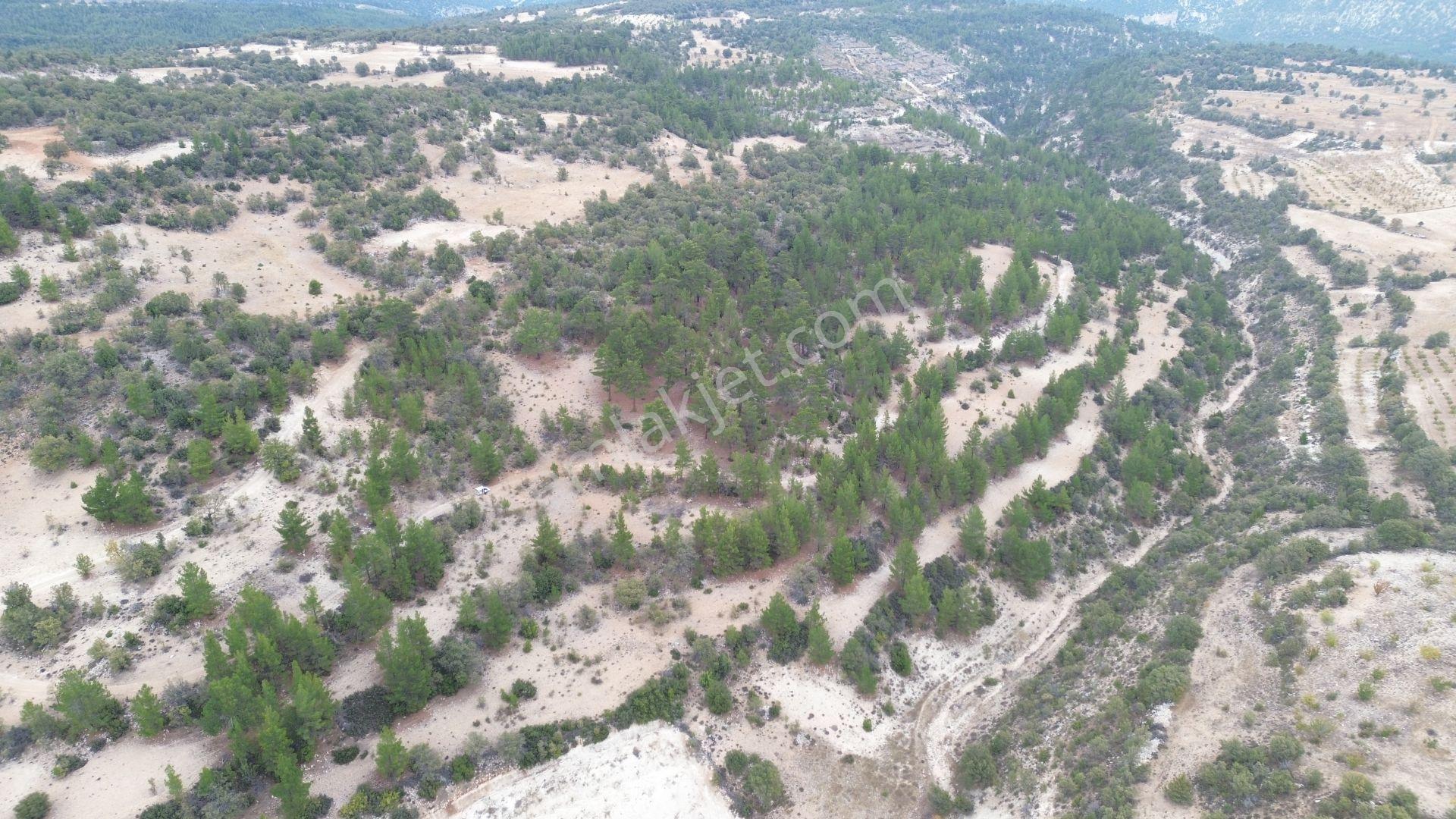 Karaman / Ermenek / Olukpınar Mahallesinde 1.869 M² Müstakil Tarla - Görsel 3