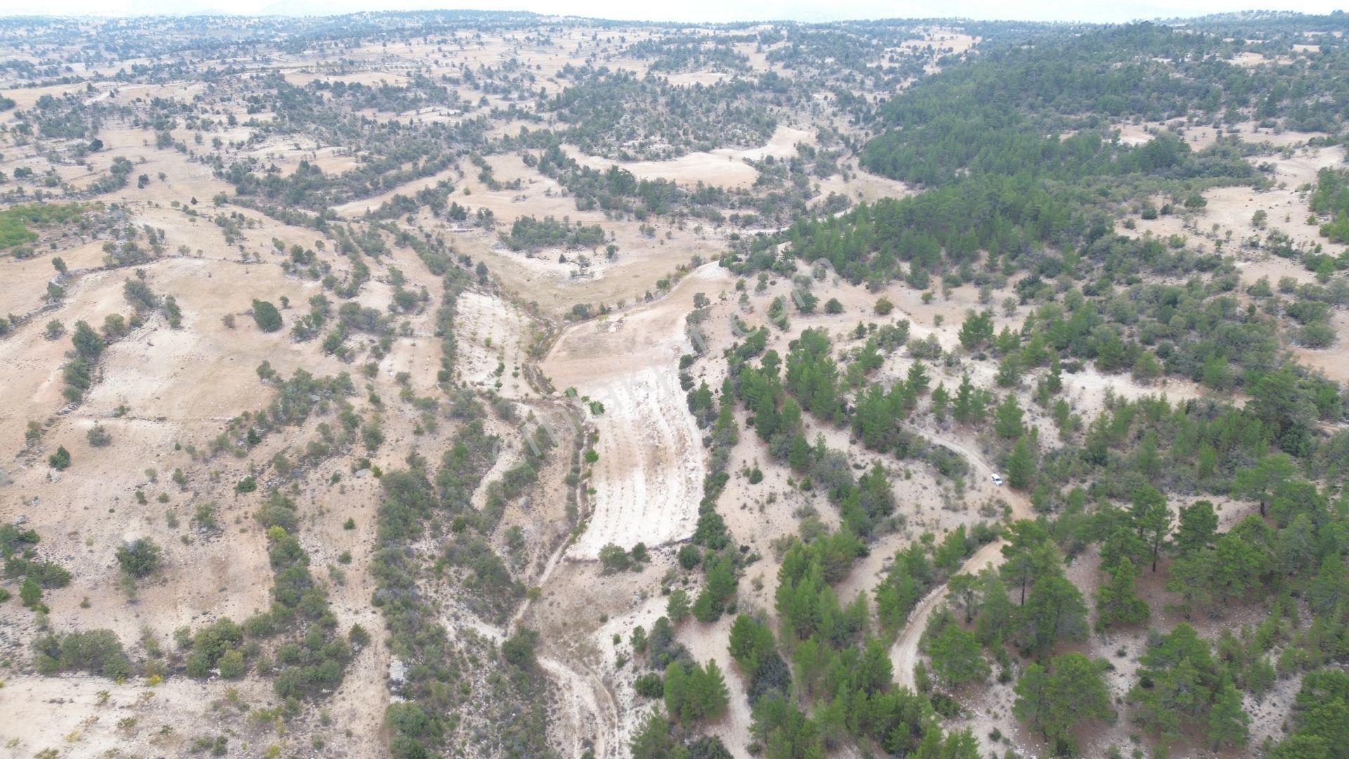 Karaman / Ermenek / Olukpınar Mahallesinde 1.869 M² Müstakil Tarla - Görsel 2