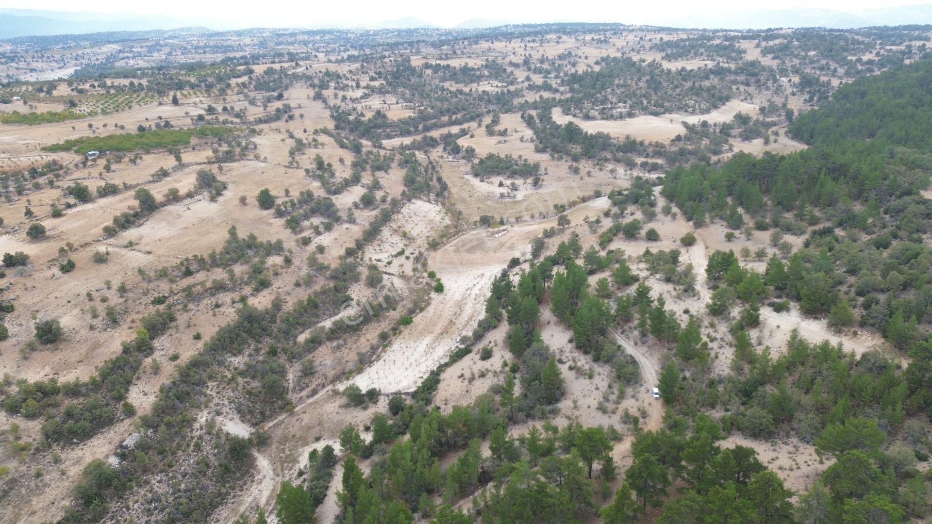 Karaman / Ermenek / Olukpınar Mahallesinde 1.869 M² Müstakil Tarla - Görsel 11