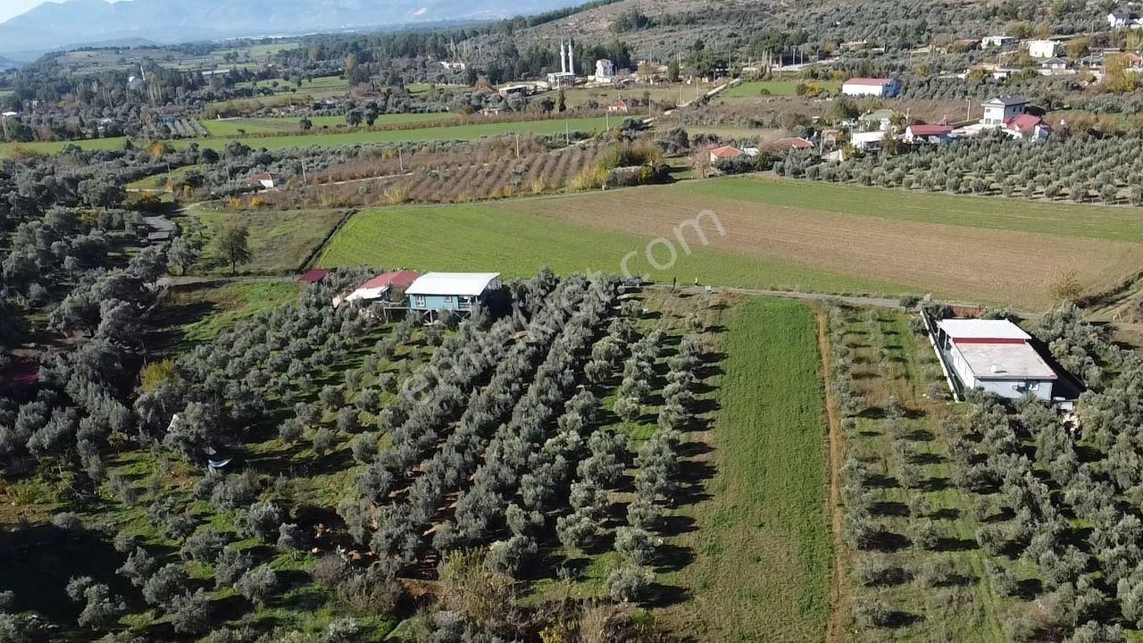 Kayadibi'nde Yerleşime Yakın 674 M2 Hisseli Arazi - Görsel 15