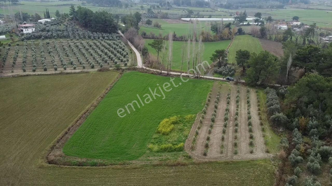 S.kemer Korubükü'nde Doğayla İç İçe 5160 M2 Satılık Arazi - Görsel 18