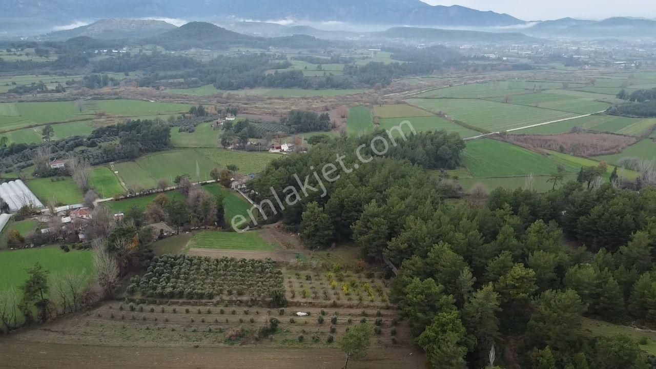 S.kemer Korubükü'nde Doğayla İç İçe 5160 M2 Satılık Arazi - Görsel 11