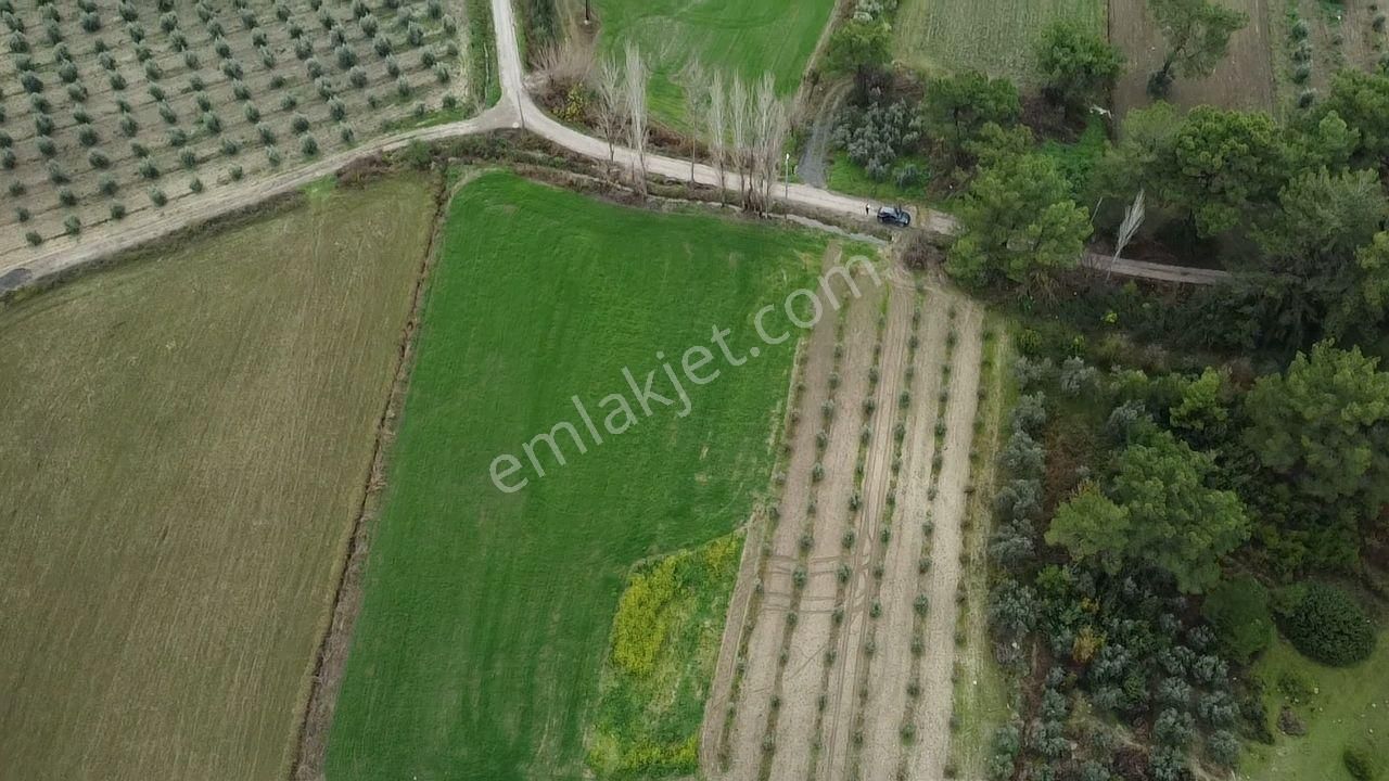 S.kemer Korubükü'nde Doğayla İç İçe 5160 M2 Satılık Arazi - Görsel 28