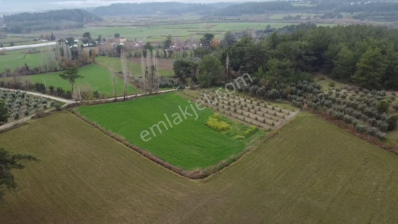 S.kemer Korubükü'nde Doğayla İç İçe 5160 M2 Satılık Arazi - Görsel 3