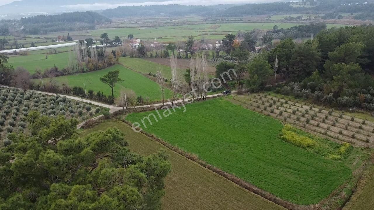 S.kemer Korubükü'nde Doğayla İç İçe 5160 M2 Satılık Arazi - Görsel 4