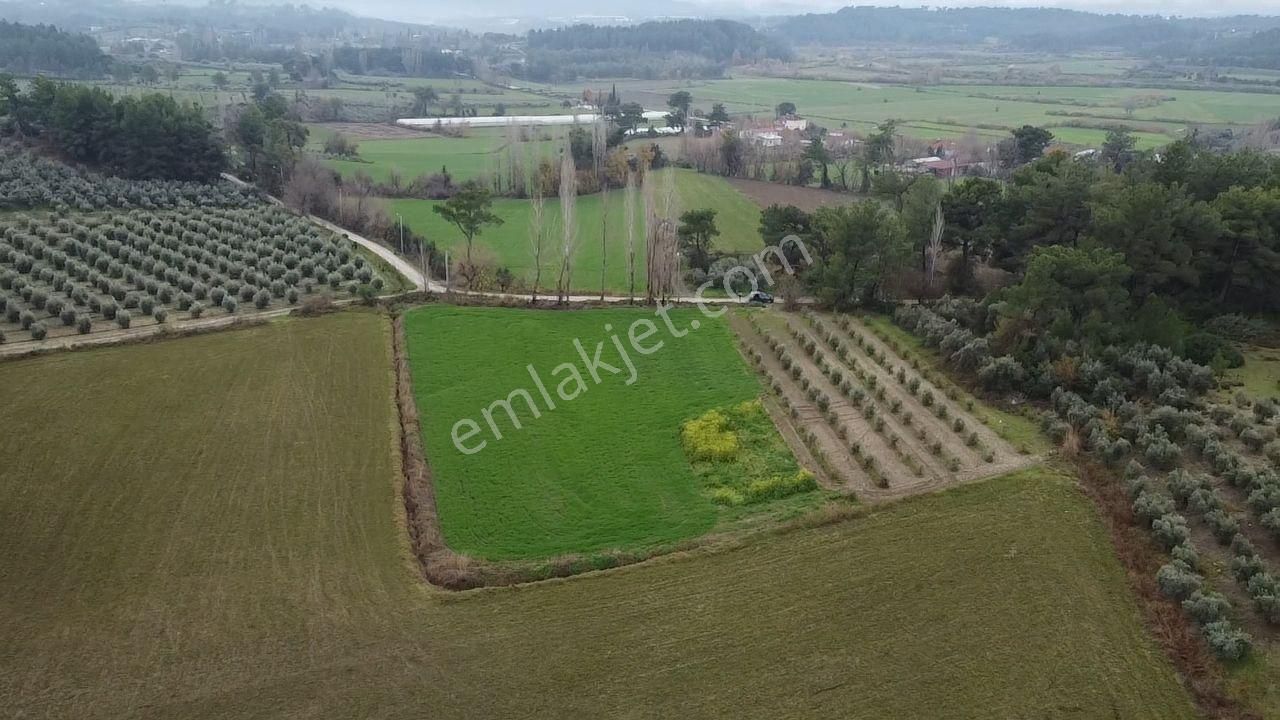 S.kemer Korubükü'nde Doğayla İç İçe 5160 M2 Satılık Arazi - Görsel 33