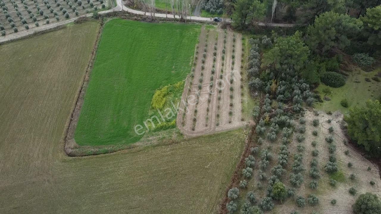 S.kemer Korubükü'nde Doğayla İç İçe 5160 M2 Satılık Arazi - Görsel 26
