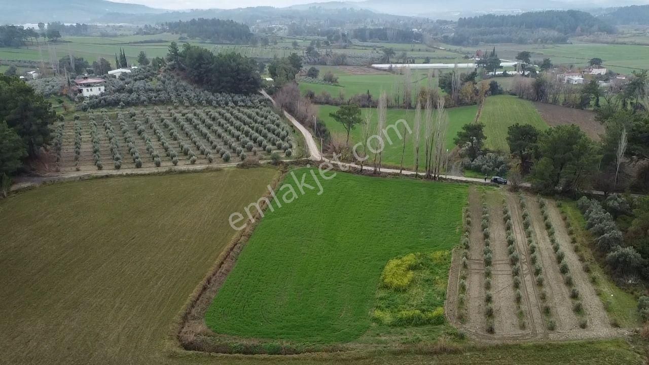 S.kemer Korubükü'nde Doğayla İç İçe 5160 M2 Satılık Arazi - Görsel 16