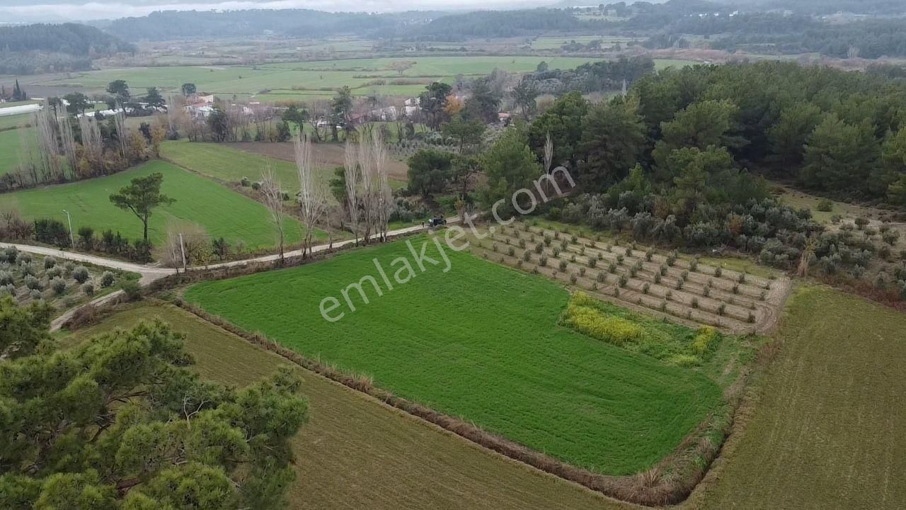 S.kemer Korubükü'nde Doğayla İç İçe 5160 M2 Satılık Arazi - Görsel 12