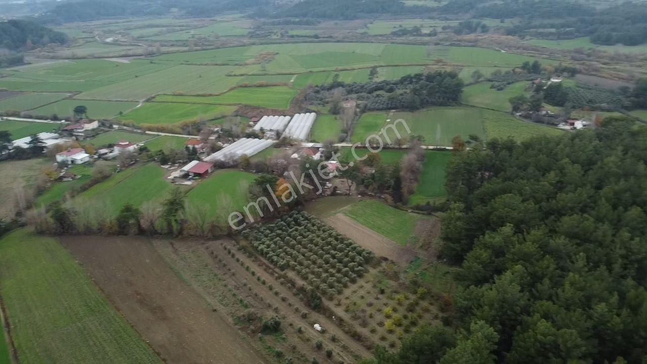 S.kemer Korubükü'nde Doğayla İç İçe 5160 M2 Satılık Arazi - Görsel 23