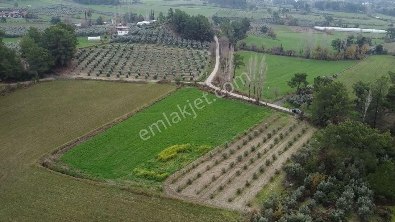 S.kemer Korubükü'nde Doğayla İç İçe 5160 M2 Satılık Arazi - Görsel 9