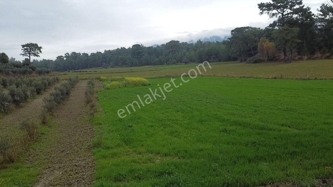 S.kemer Korubükü'nde Doğayla İç İçe 5160 M2 Satılık Arazi - Görsel 13
