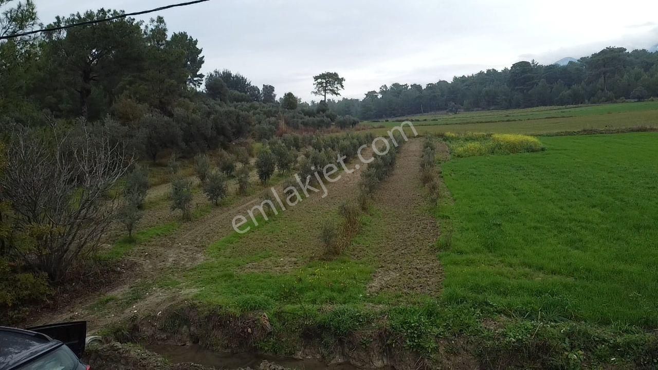 S.kemer Korubükü'nde Doğayla İç İçe 5160 M2 Satılık Arazi