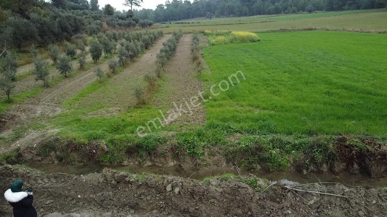S.kemer Korubükü'nde Doğayla İç İçe 5160 M2 Satılık Arazi - Görsel 27