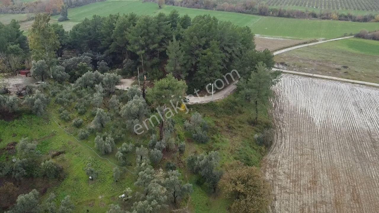 S. Kemer Korubükü'nde Köyiçi İmarlı 1439 M2 Satılık Arsa - Görsel 14