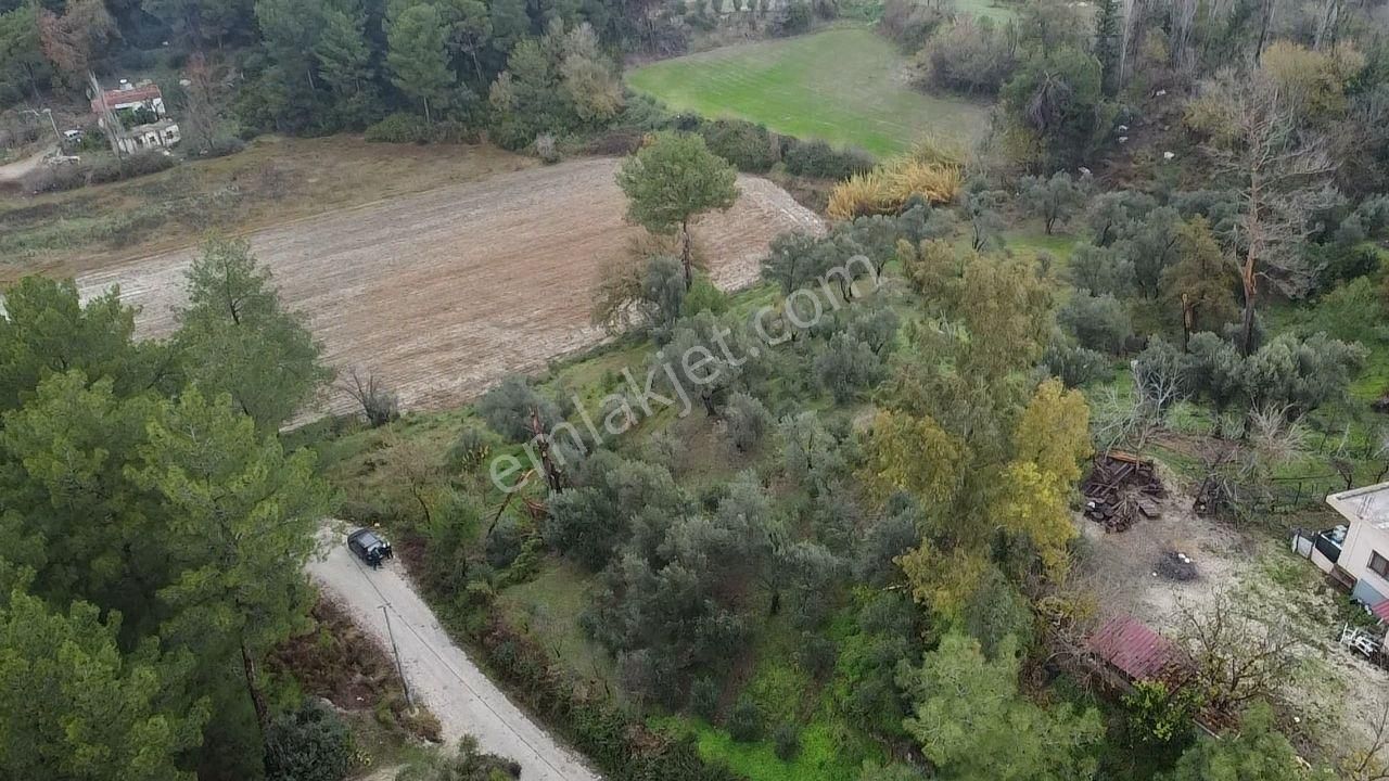 S. Kemer Korubükü'nde Köyiçi İmarlı 1439 M2 Satılık Arsa - Görsel 33