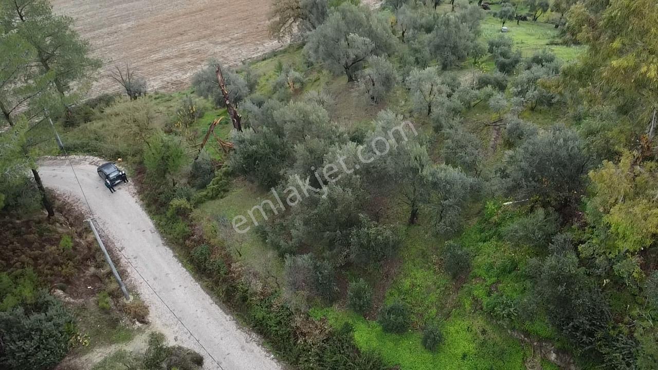 S. Kemer Korubükü'nde Köyiçi İmarlı 1439 M2 Satılık Arsa - Görsel 11