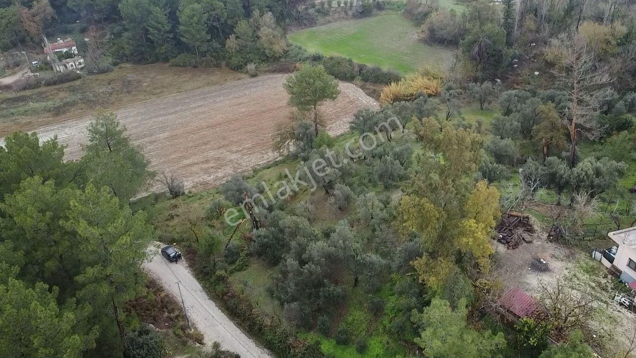 S. Kemer Korubükü'nde Köyiçi İmarlı 1439 M2 Satılık Arsa - Görsel 28