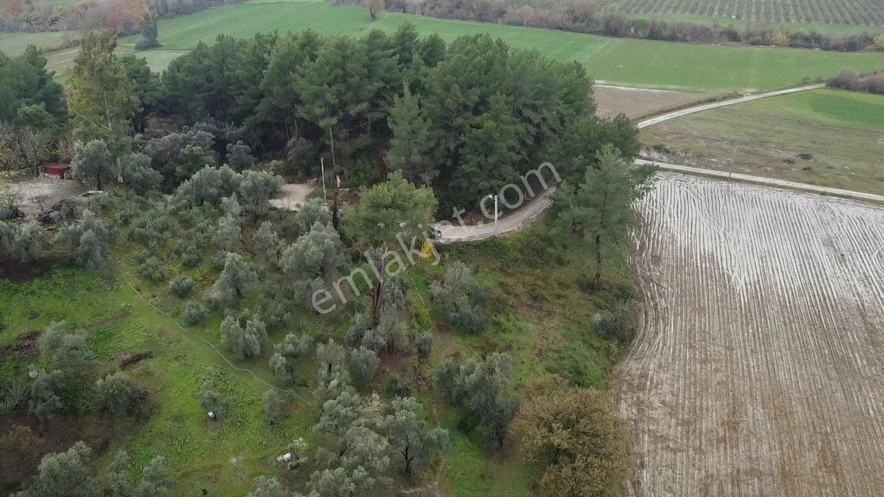 S. Kemer Korubükü'nde Köyiçi İmarlı 1439 M2 Satılık Arsa - Görsel 32